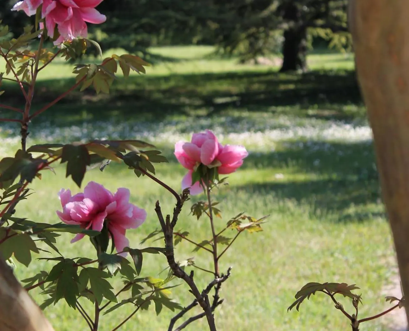 Le Mas Des Figuiers Arles Holiday home