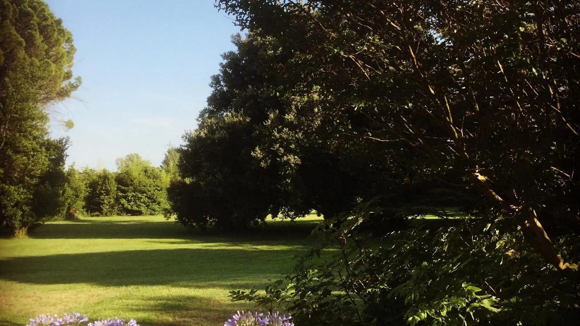Le Mas Des Figuiers Arles Holiday home