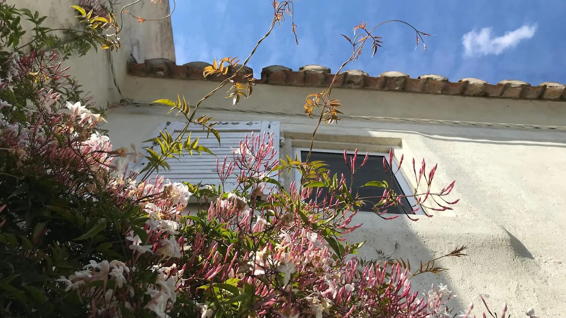 Holiday home Le Mas Des Figuiers Arles France