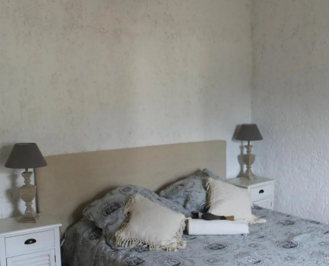 Vakantiehuis Le Mas Des Figuiers Arles Frankrijk