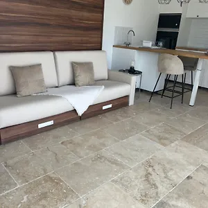 Magnifique Avec Piscine Arles